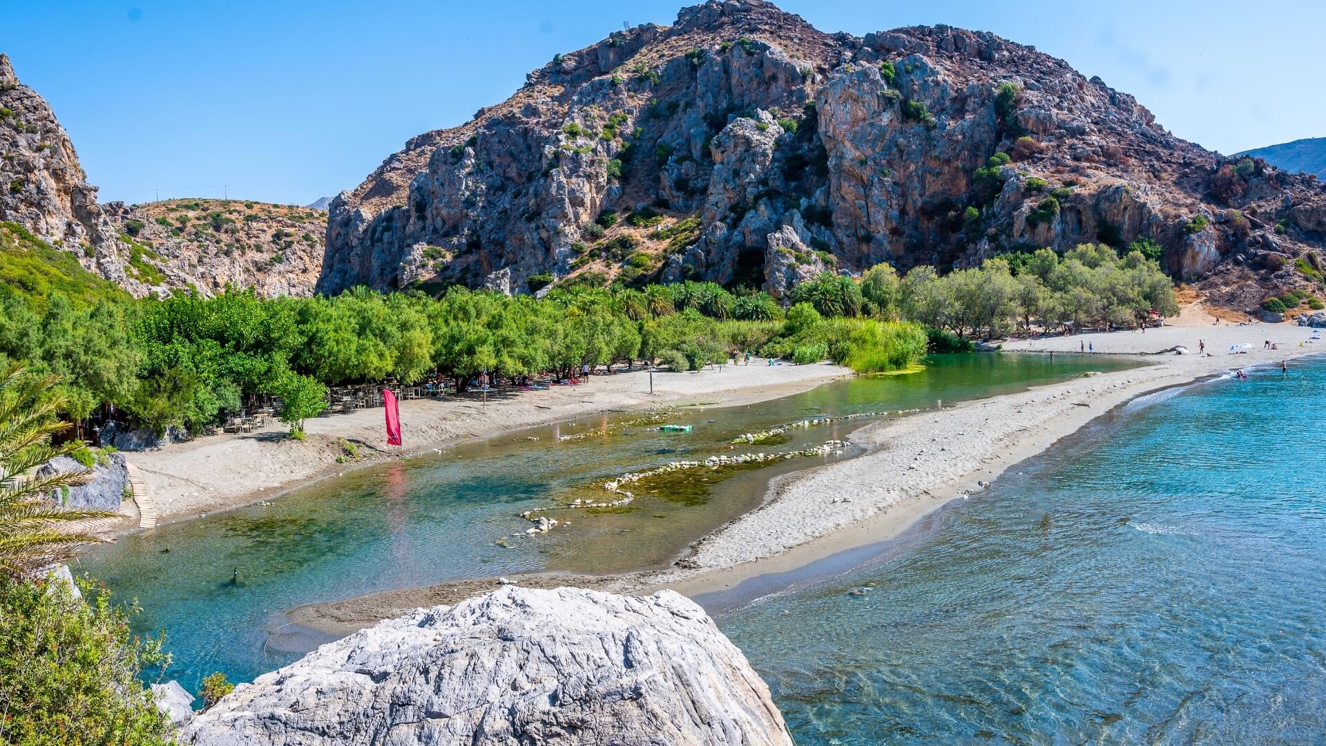 Preveli Palm Forest