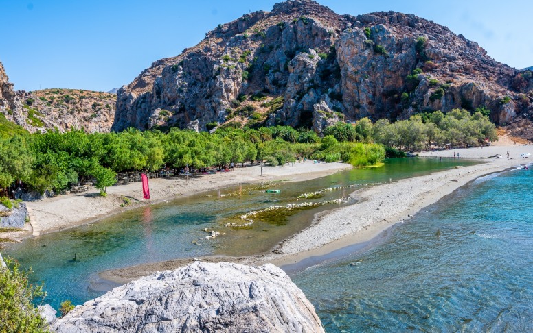 Preveli Palm Forest